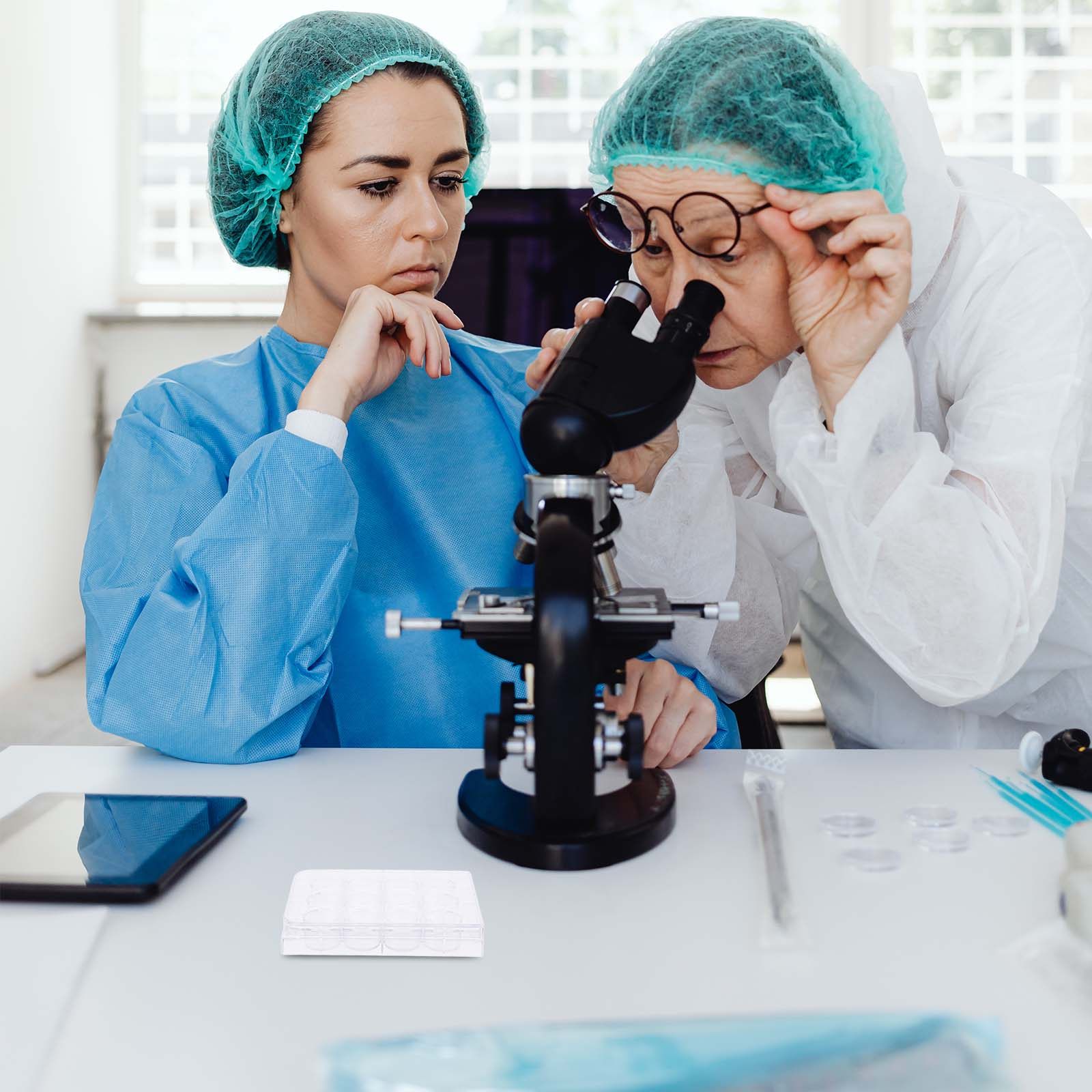 Lab Equipment - Płytka do hodowli komórek z 12